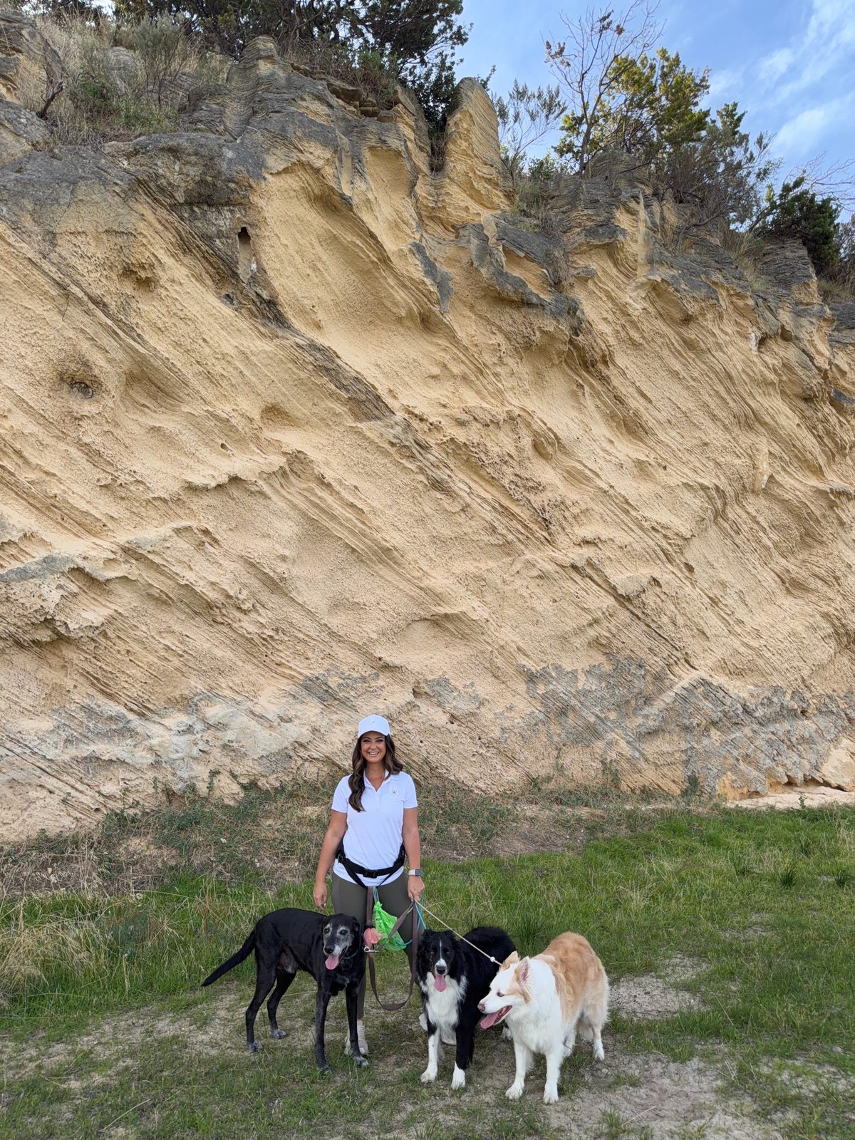 Happy dogs playing together at Salty Pups