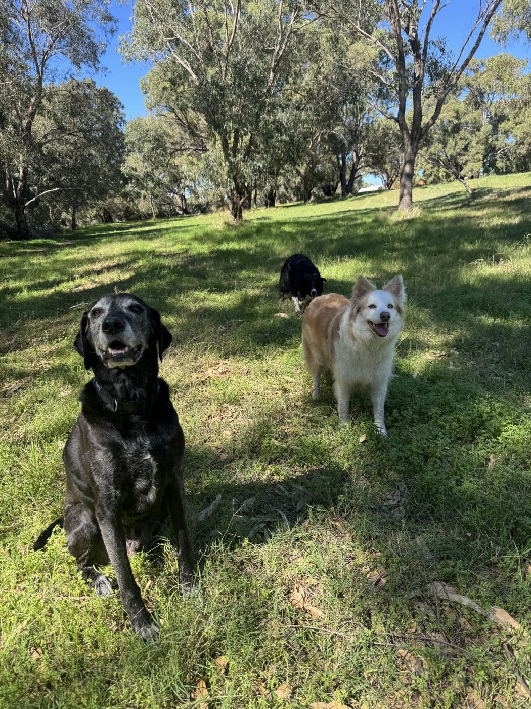 Group adventure