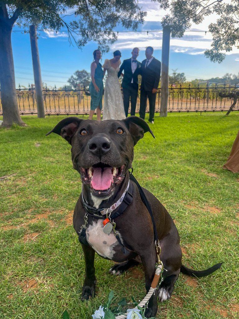 Wedding chaperoning
